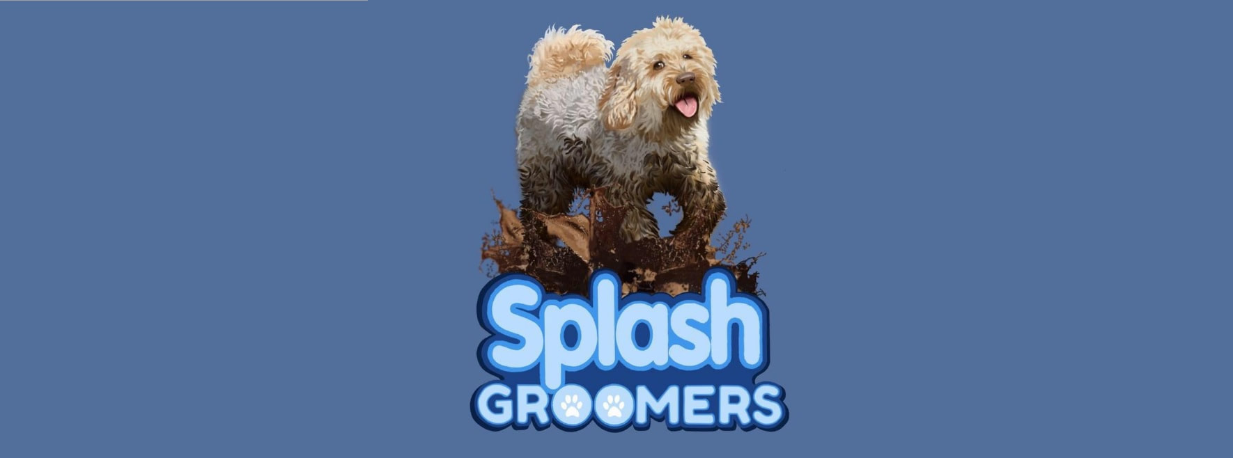 About Splash Groomers, Gloucester
